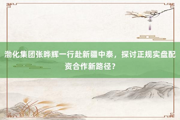 渤化集团张晔辉一行赴新疆中泰，探讨正规实盘配资合作新路径？