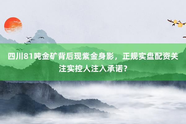 四川81吨金矿背后现紫金身影，正规实盘配资关注实控人注入承诺？