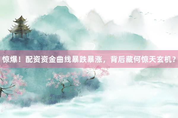 惊爆！配资资金曲线暴跌暴涨，背后藏何惊天玄机？