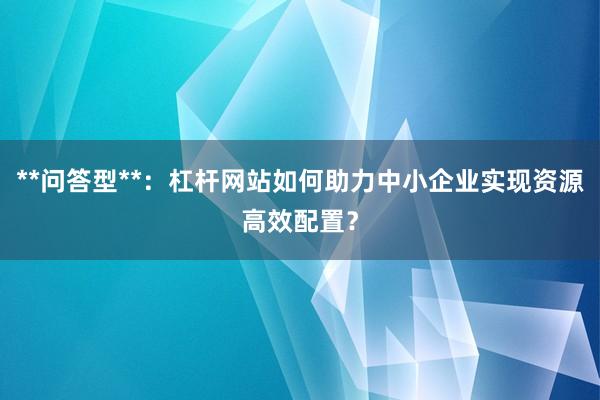 **问答型**：杠杆网站如何助力中小企业实现资源高效配置？
