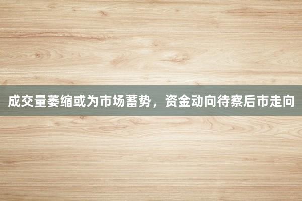 成交量萎缩或为市场蓄势，资金动向待察后市走向