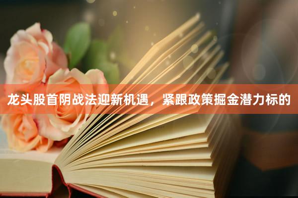 龙头股首阴战法迎新机遇，紧跟政策掘金潜力标的