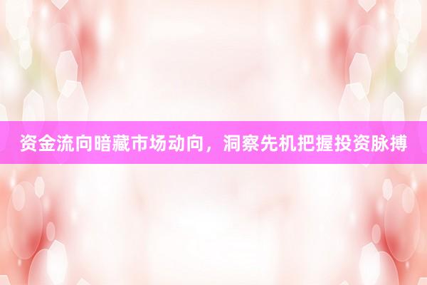 资金流向暗藏市场动向，洞察先机把握投资脉搏