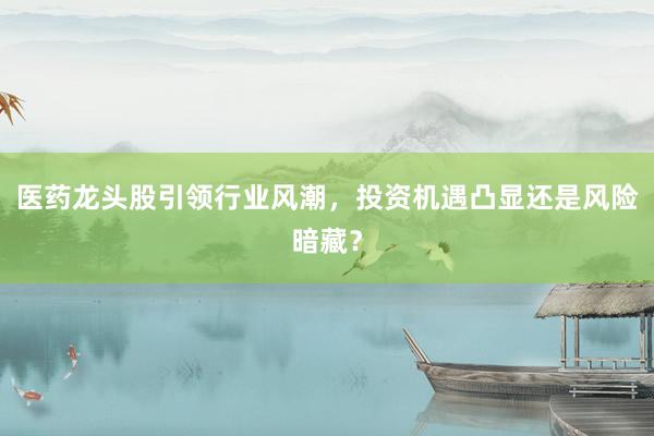 医药龙头股引领行业风潮，投资机遇凸显还是风险暗藏？