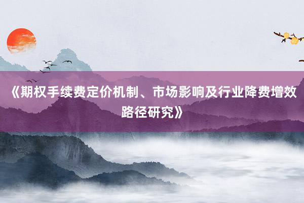《期权手续费定价机制、市场影响及行业降费增效路径研究》