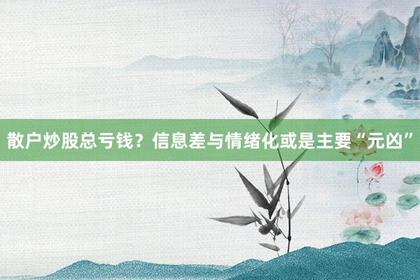 散户炒股总亏钱？信息差与情绪化或是主要“元凶”