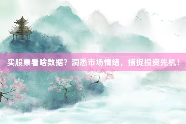 买股票看啥数据？洞悉市场情绪，捕捉投资先机！