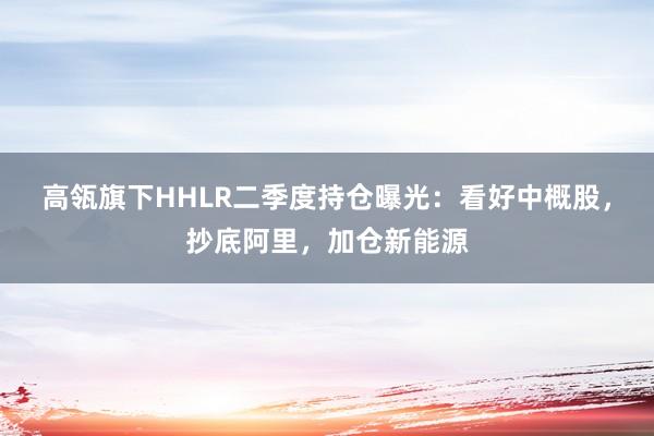 高瓴旗下HHLR二季度持仓曝光：看好中概股，抄底阿里，加仓新能源