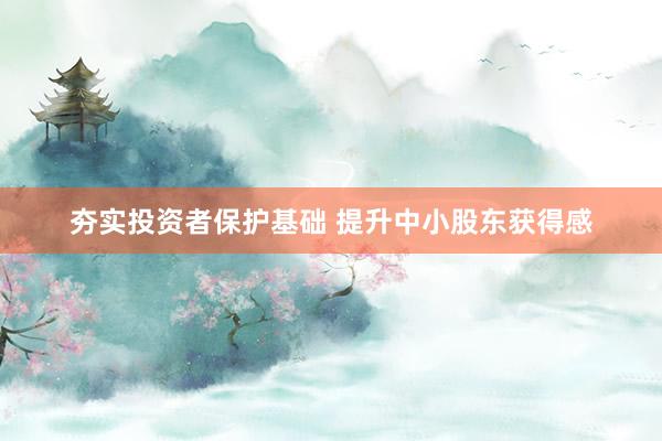 夯实投资者保护基础 提升中小股东获得感