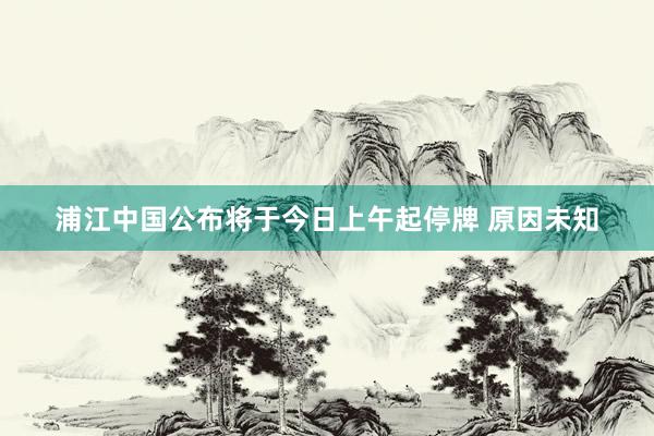 浦江中国公布将于今日上午起停牌 原因未知