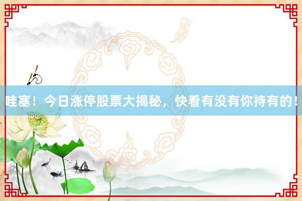 哇塞！今日涨停股票大揭秘，快看有没有你持有的！