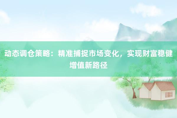 动态调仓策略：精准捕捉市场变化，实现财富稳健增值新路径