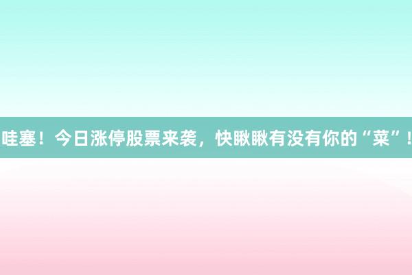 哇塞！今日涨停股票来袭，快瞅瞅有没有你的“菜”！