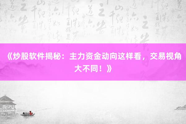 《炒股软件揭秘：主力资金动向这样看，交易视角大不同！》