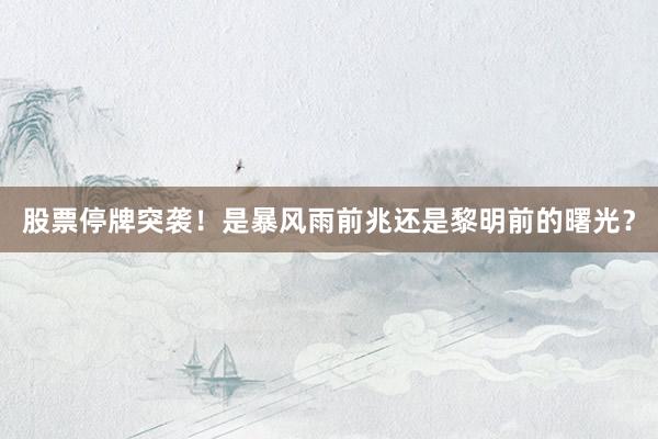 股票停牌突袭！是暴风雨前兆还是黎明前的曙光？