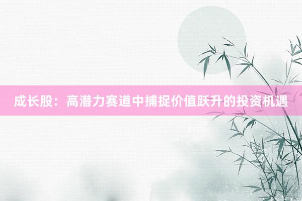 成长股：高潜力赛道中捕捉价值跃升的投资机遇