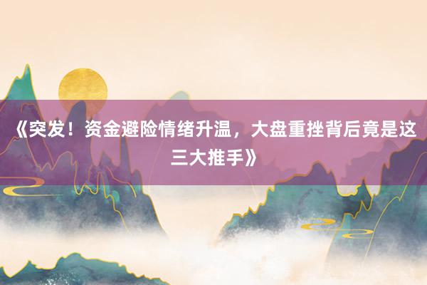 《突发！资金避险情绪升温，大盘重挫背后竟是这三大推手》