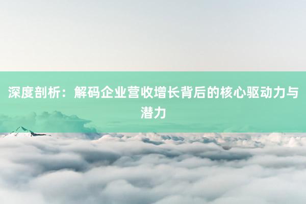 深度剖析：解码企业营收增长背后的核心驱动力与潜力