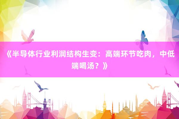《半导体行业利润结构生变：高端环节吃肉，中低端喝汤？》