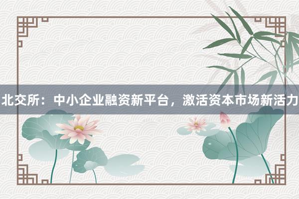 北交所：中小企业融资新平台，激活资本市场新活力