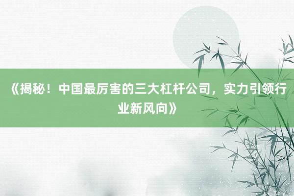 《揭秘！中国最厉害的三大杠杆公司，实力引领行业新风向》