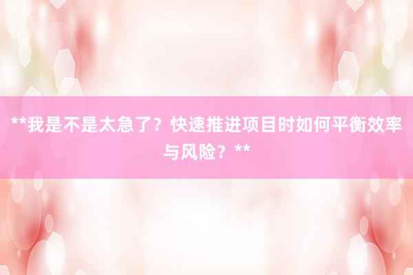 **我是不是太急了？快速推进项目时如何平衡效率与风险？**