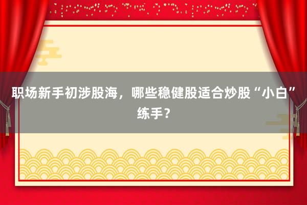 职场新手初涉股海，哪些稳健股适合炒股“小白”练手？